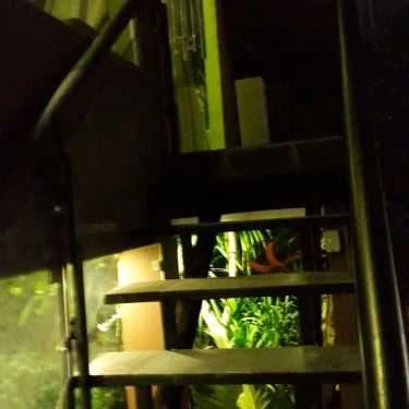 Tổng hợp- Sim Cafe