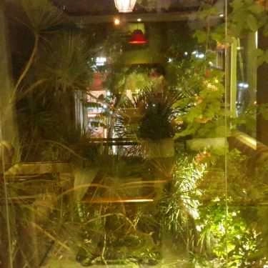 Tổng hợp- Sim Cafe