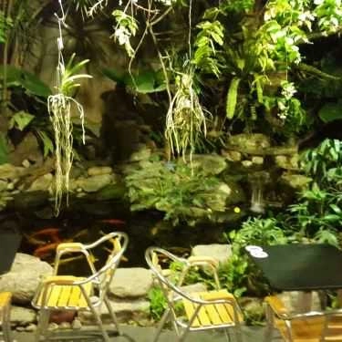 Tổng hợp- Sim Cafe
