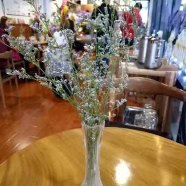 Tổng hợp- Simple Coffee - Nguyễn Thái Bình
