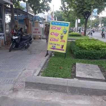 Tổng hợp- Trái Cây Thố, Coffee Take Away