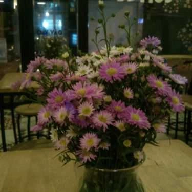 Tổng hợp- Cafe Sinh Tố Buôn Mê - Hoa Cúc