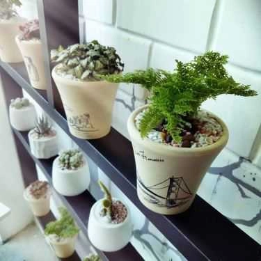 Tổng hợp- Cafe Sky Fruits