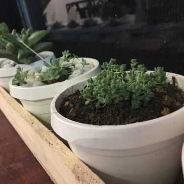 Tổng hợp- Sky Heaven Coffee