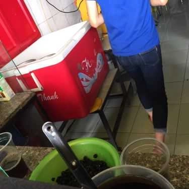 Tổng hợp- Cafe Sky - Trà Sữa