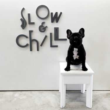 Tổng hợp- Slow & Chill Coffee - Nguyễn Huệ
