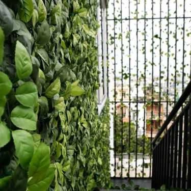 Tổng hợp- Snow Garden Hotel