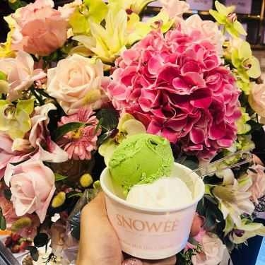 Tổng hợp- Cafe Snowee Gelato