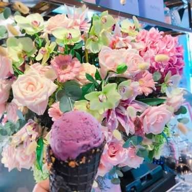 Tổng hợp- Cafe Snowee Gelato