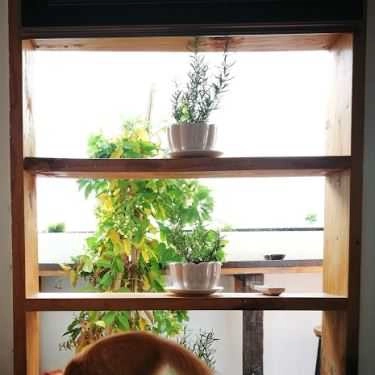 Tổng hợp- Quán Ăn Sofia House Vegan - Nhà Hàng Chay