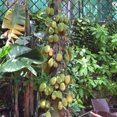 Không gian- Sỏi Đá Cafe - Lê Văn Sỹ