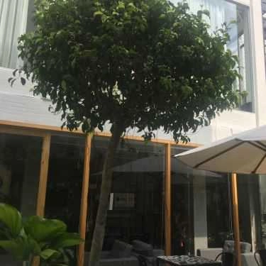 Tổng hợp- Sol Cafe