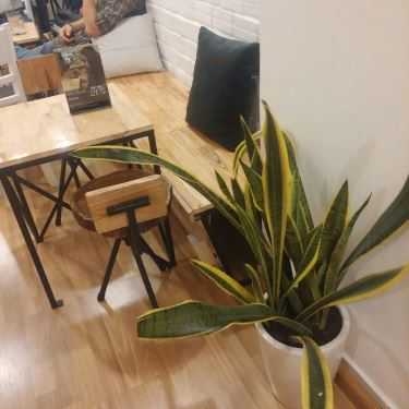 Tổng hợp- Stavius Coffee