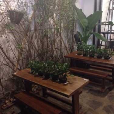 Tổng hợp- Stavius Coffee