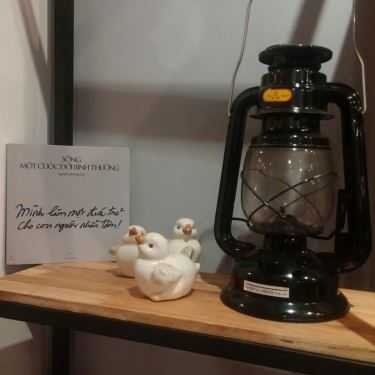 Tổng hợp- Stavius Coffee