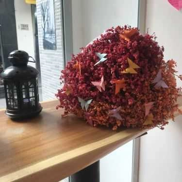 Tổng hợp- Stop Café