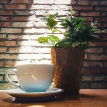 Tổng hợp- Stop & Go Coffee