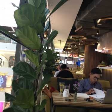 Tổng hợp- Studio 77 Coffee - Saigon Centre
