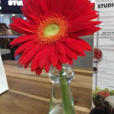Tổng hợp- Studio 77 Coffee - Saigon Centre
