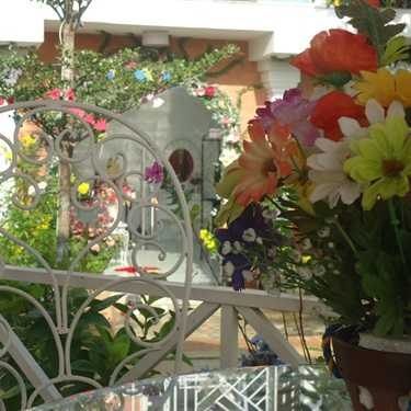 Tổng hợp- Studio Moon Garden Cafe