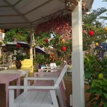 Tổng hợp- Studio Moon Garden Cafe