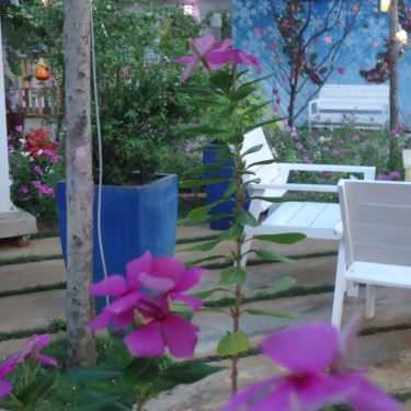Tổng hợp- Studio Moon Garden Cafe