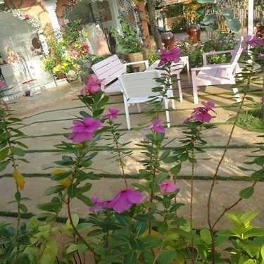 Tổng hợp- Studio Moon Garden Cafe