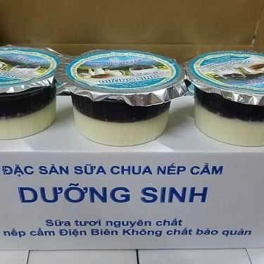 Tổng hợp- Sữa Chua Nếp Cẩm Dưỡng Sinh - Shop Online