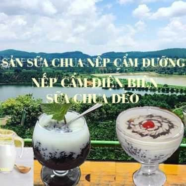 Tổng hợp- Sữa Chua Nếp Cẩm Dưỡng Sinh - Shop Online