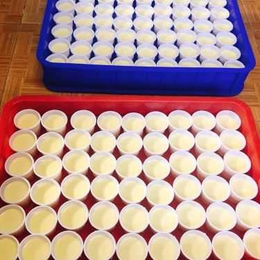 Món ăn- Sữa Chua Phô Mai Đà Lạt - Tùng Thiện Vương - Shop Online
