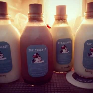 Món ăn- Cafe Sữa Tươi Tox.organic