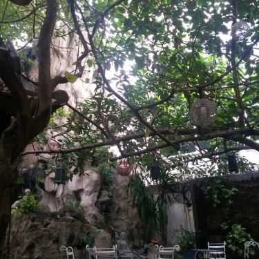 Tổng hợp- Cafe Suối Nguồn - The Fountainhead