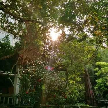 Tổng hợp- Cafe Suối Nguồn - The Fountainhead