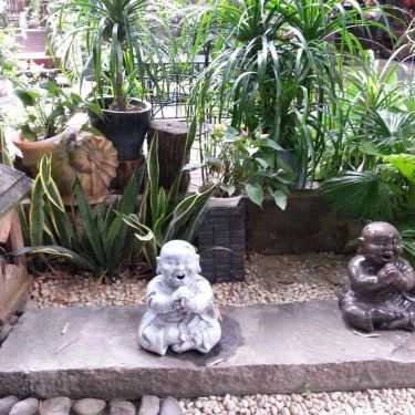 Tổng hợp- Cafe Suối Nguồn - The Fountainhead