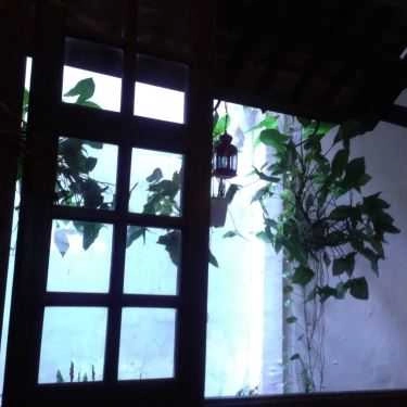 Tổng hợp- Cafe Suối Nguồn - The Fountainhead