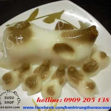 Tổng hợp- Susu Shop - Bánh Trung Thu Rau Câu - Shop Online