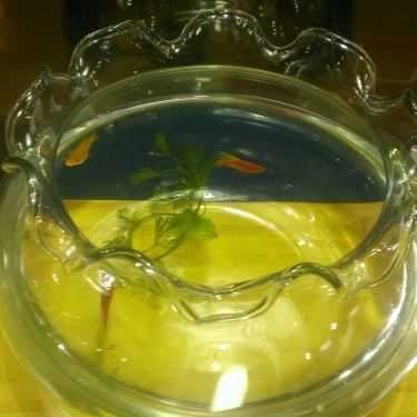 Tổng hợp- Swebi Cafe - Tên Lửa