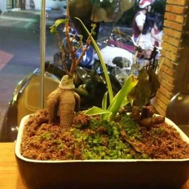 Tổng hợp- T-Bingsu - Tea & Coffee