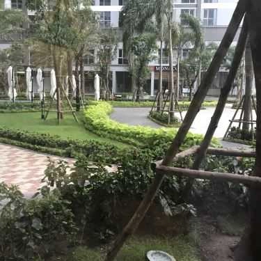 Tổng hợp- Cafe T4 Vietnam - Tea - Vinhomes Central Park