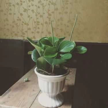 Tổng hợp- 243 TaHa Cafe - Lê Quang Định