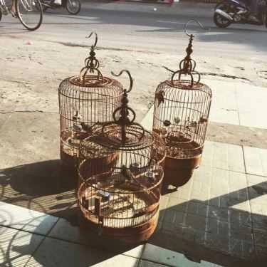 Tổng hợp- 243 TaHa Cafe - Lê Quang Định