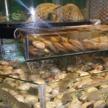 Tổng hợp- Tiệc tận nơi Chef Minh - Dịch Vụ Đãi Tiệc Tại Nhà