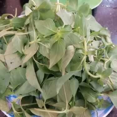 Tổng hợp- Quán Nhậu Tao Ngộ - Lẩu Gà Lá É