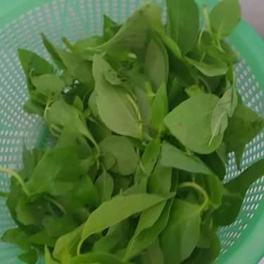 Tổng hợp- Quán Nhậu Tao Ngộ - Lẩu Gà Lá É