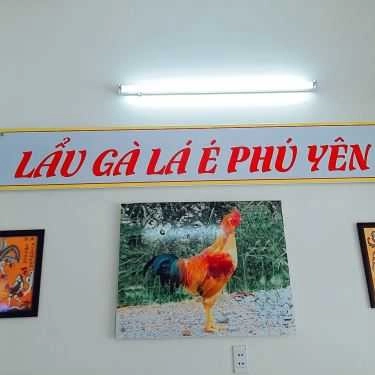 Tổng hợp- Quán Nhậu Tao Ngộ - Lẩu Gà Lá É