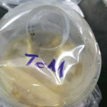 Tổng hợp- Ăn vặt Tàu Hủ Xe Lam - Phạm Ngũ Lão
