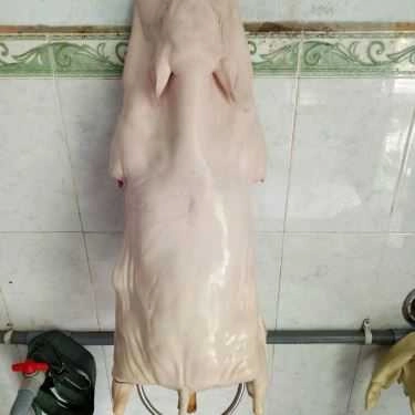 Tổng hợp- Quán Nhậu Tây Nguyên Quán - Quán Ăn Gia Đình