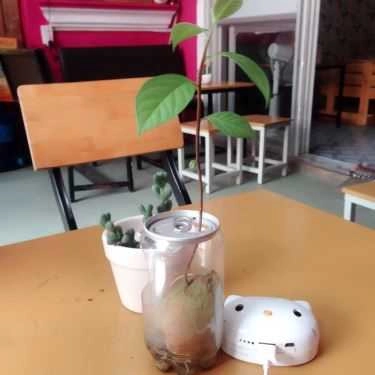 Tổng hợp- Leng Keng - Coffee & Trà Sữa