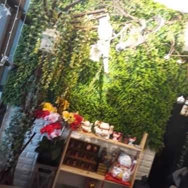Tổng hợp- Tea And Coffee - Hoa Cúc