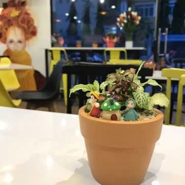 Tổng hợp- Cafe Tealicious Taiwan Tea House